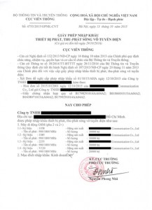 Giay-phep-nhap-khau-dtdd-maikalogistics